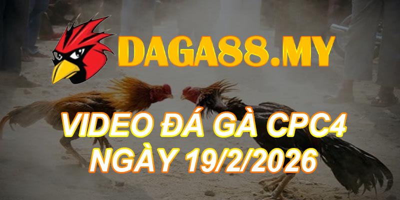VIDEO GÀ CPC4 NGÀY 19/2/2026