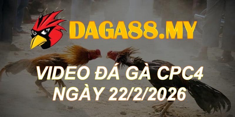VIDEO GÀ CPC4 NGÀY 22/2/2026
