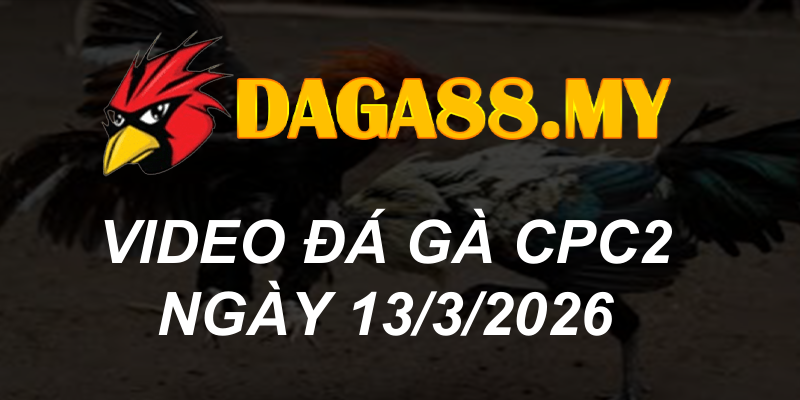 VIDEO GÀ CPC2 NGÀY 13/3/2026