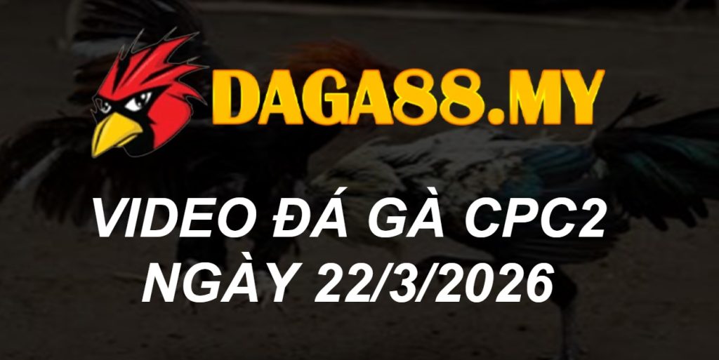 VIDEO GÀ CPC2 NGÀY 22/3/2026