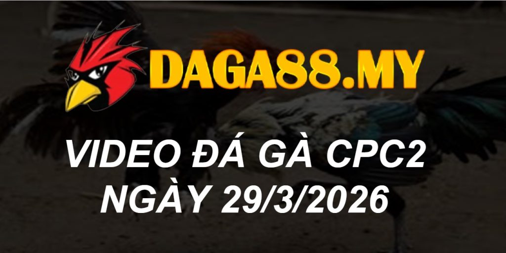 VIDEO GÀ CPC2 NGÀY 29/3/2026