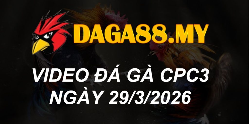 VIDEO GÀ CPC3 NGÀY 29/3/2026