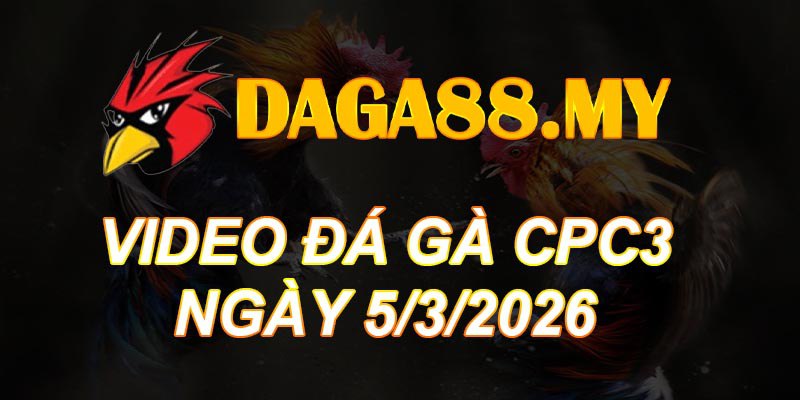 VIDEO GÀ CPC3 NGÀY 5/3/2026