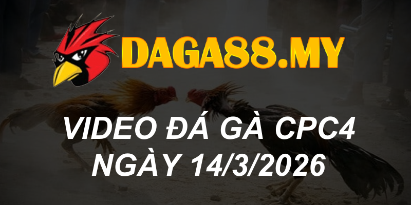 VIDEO GÀ CPC4 NGÀY 14/3/2026