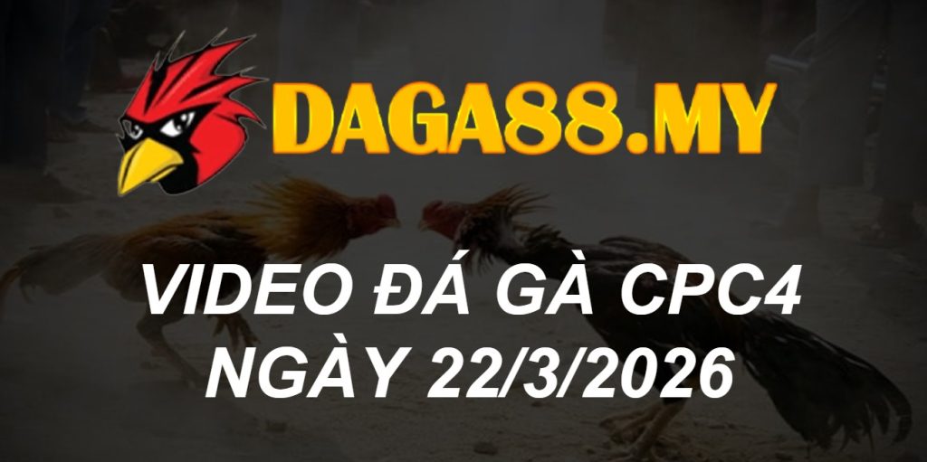 VIDEO GÀ CPC4 NGÀY 22/3/2026