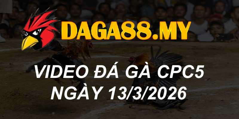 VIDEO GÀ CPC5 NGÀY 13/3/2026