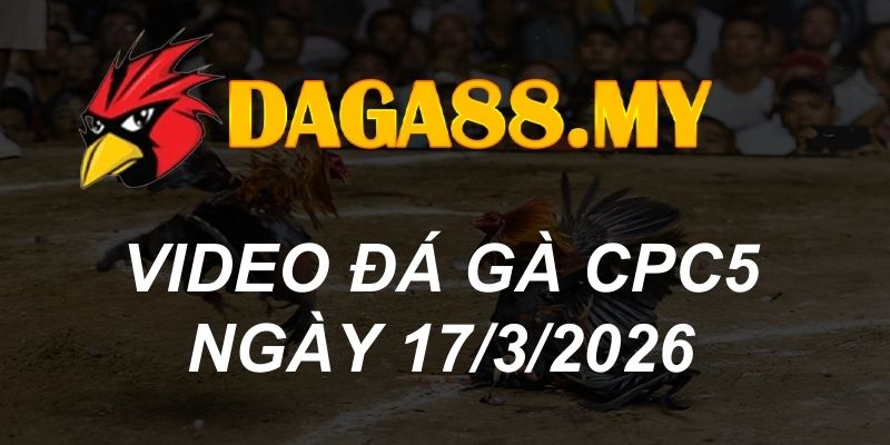 VIDEO GÀ CPC5 NGÀY 17/3/2026