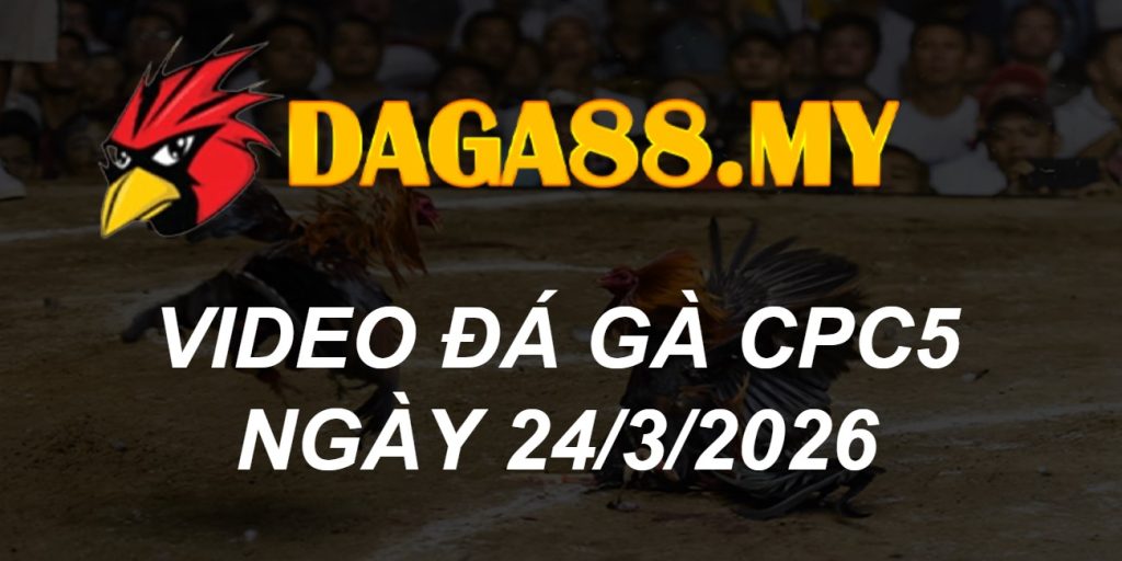 VIDEO GÀ CPC5 NGÀY 24/3/2026