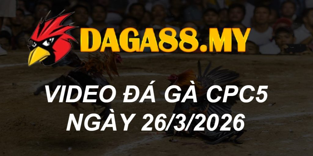 VIDEO GÀ CPC5 NGÀY 26/3/2026