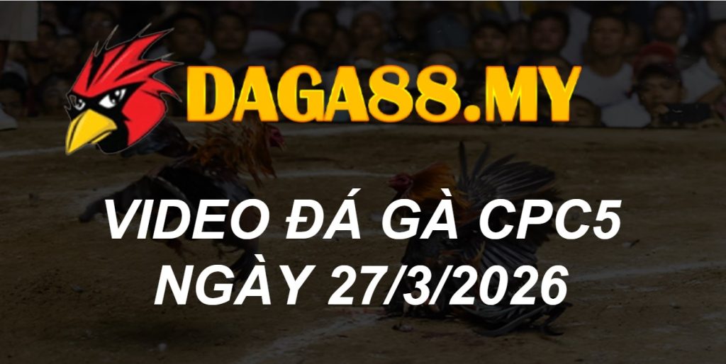 VIDEO GÀ CPC5 NGÀY 27/3/2026