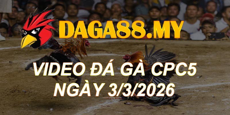 VIDEO GÀ CPC5 NGÀY 3/3/2026