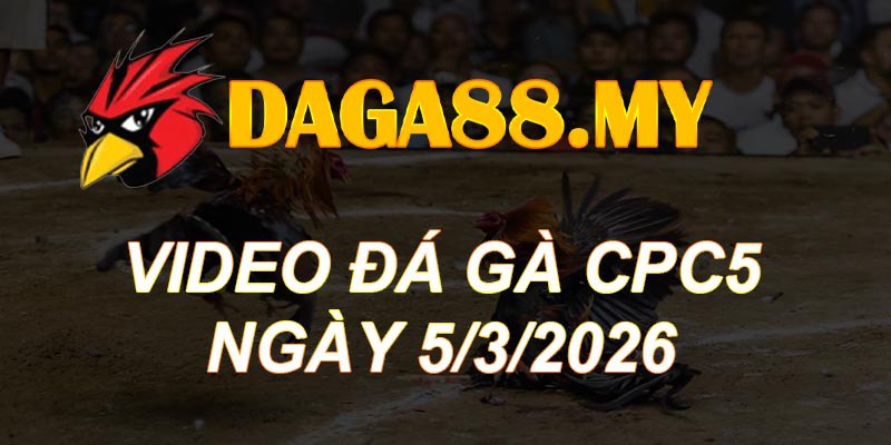 VIDEO GÀ CPC5 NGÀY 5/3/2026