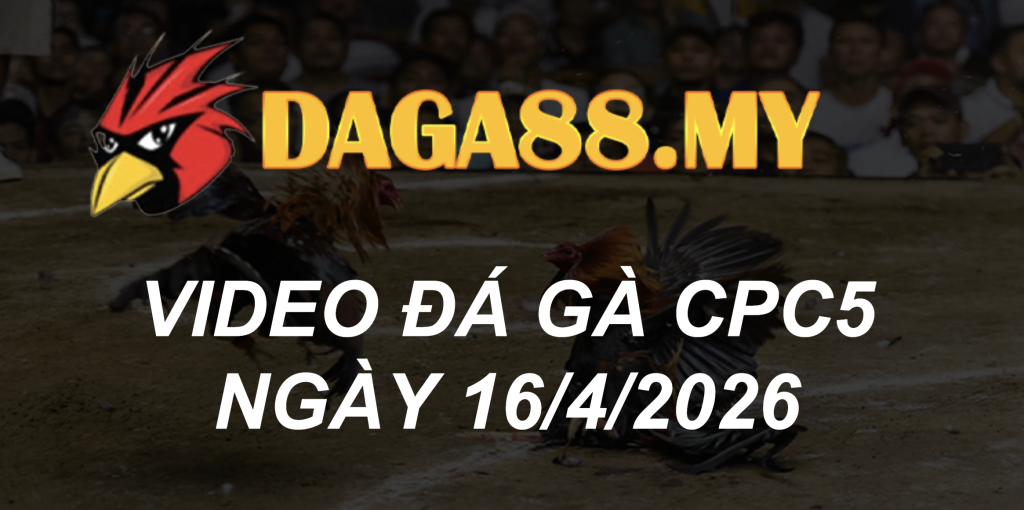 VIDEO GÀ CPC5 NGÀY 16/4/2026