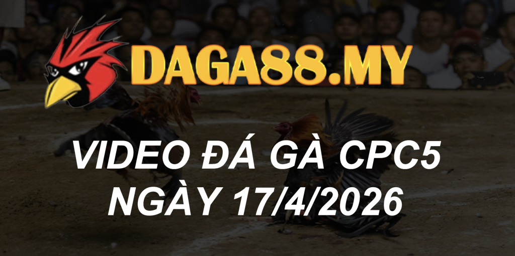 VIDEO GÀ CPC5 NGÀY 17/4/2026