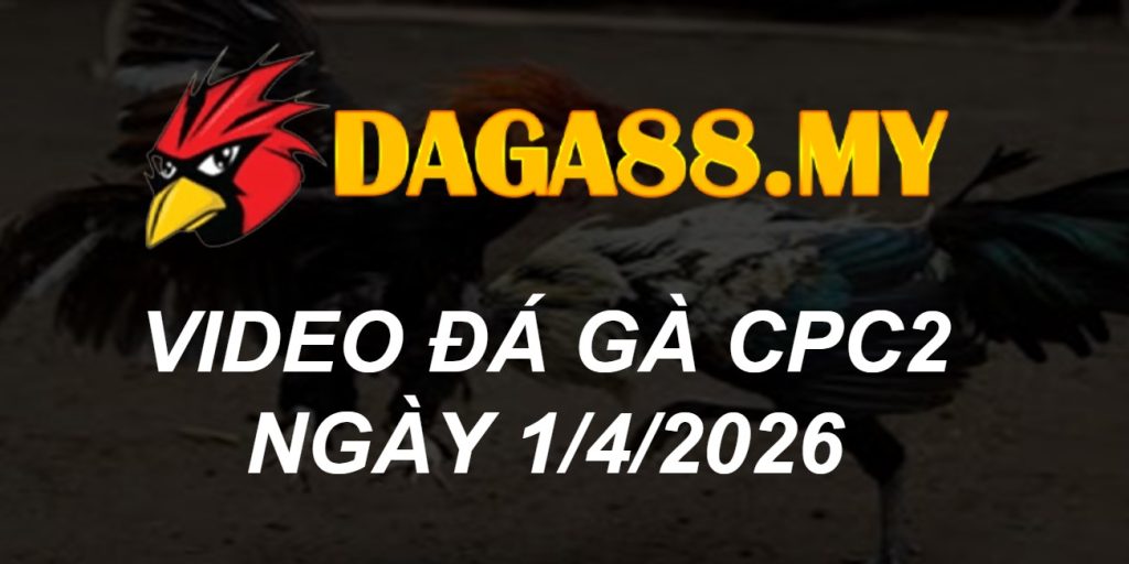 VIDEO GÀ CPC2 NGÀY 1/4/2026