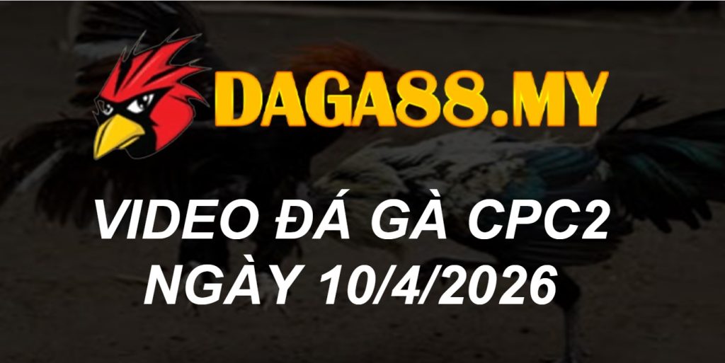 VIDEO GÀ CPC2 NGÀY 10/4/2026