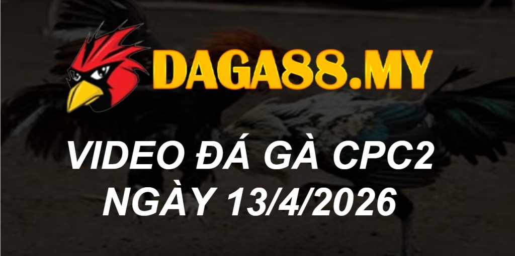 VIDEO GÀ CPC2 NGÀY 13/4/2026