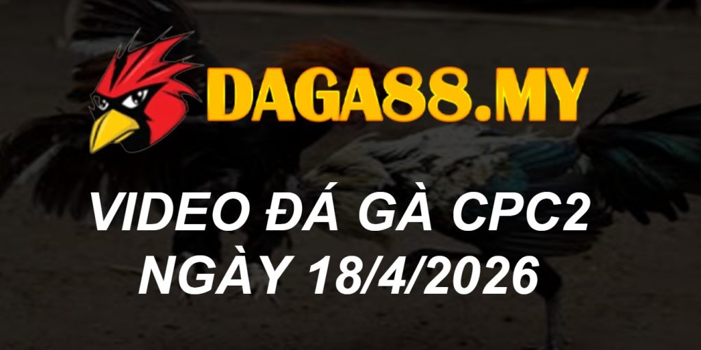 VIDEO GÀ CPC2 NGÀY 18/4/2026