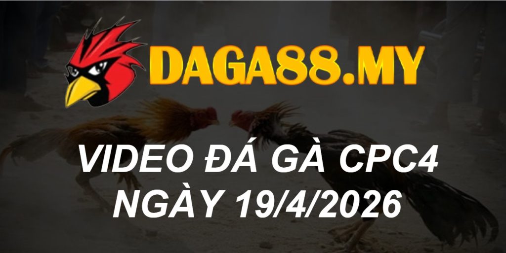 VIDEO GÀ CPC4 NGÀY 19/4/2026