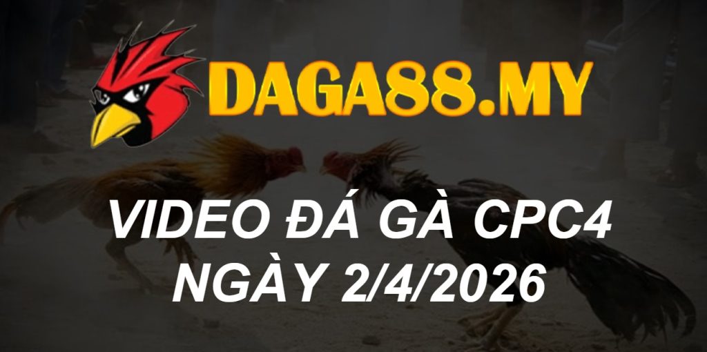 VIDEO GÀ CPC4 NGÀY 2/4/2026