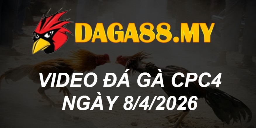 VIDEO GÀ CPC4 NGÀY 8/4/2026