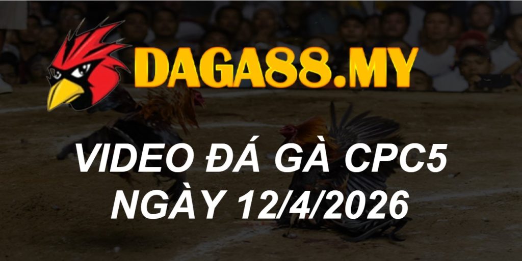 VIDEO GÀ CPC5 NGÀY 12/4/2026