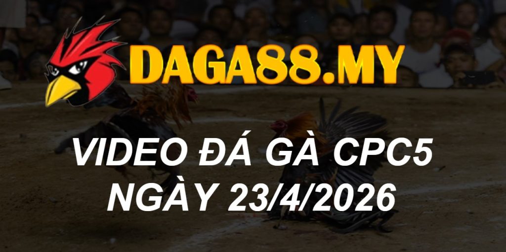 Video gà Video CPC5 ngày 23/04/2026