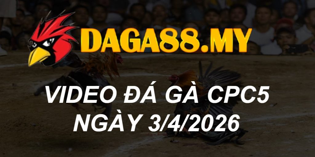 VIDEO GÀ CPC5 NGÀY 3/4/2026