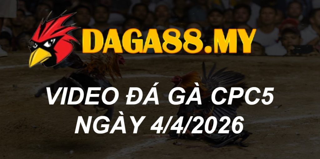 VIDEO GÀ CPC5 NGÀY 4/4/2026