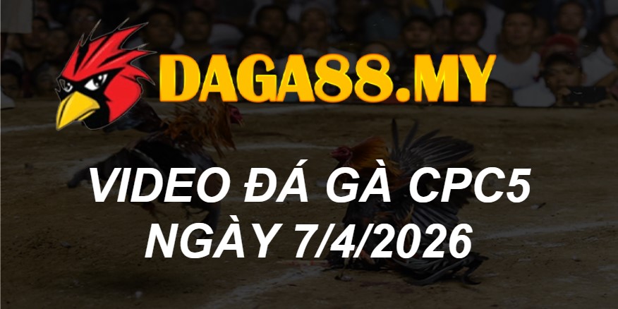 VIDEO GÀ CPC5 NGÀY 7/4/2026